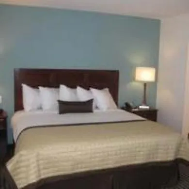 Baymont By Wyndham Denver International Airport Hotel